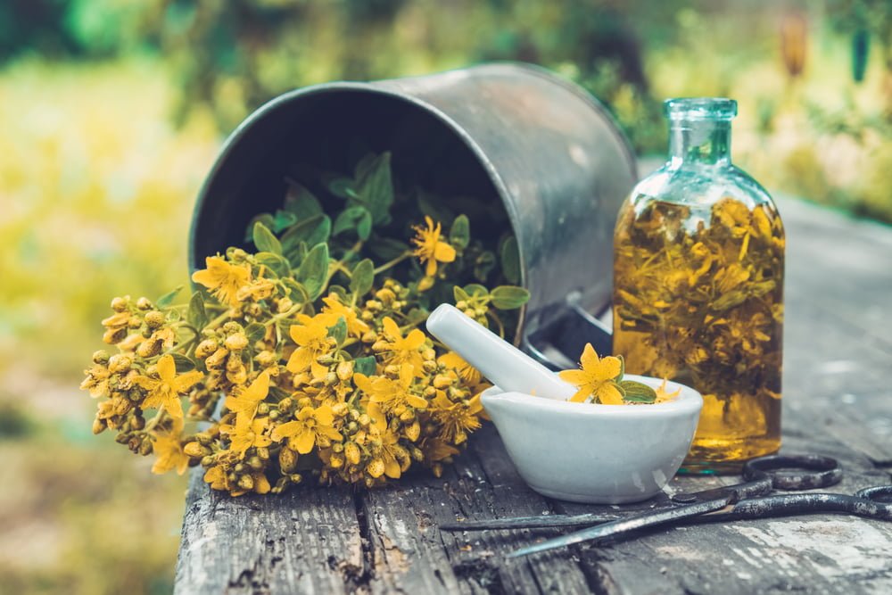 Botanical Extracts That Should be on Your Health Radar