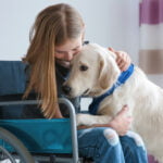 service dogs for people with disabilities