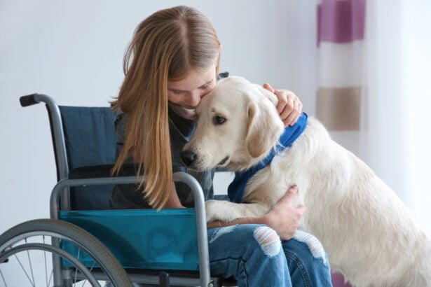 service dogs for people with disabilities