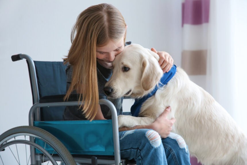 service dogs for people with disabilities