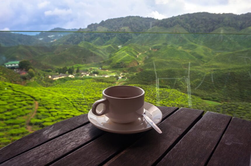 coffee