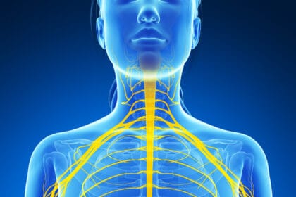 The Science Behind Innovasis' Spinal Fusion Solutions