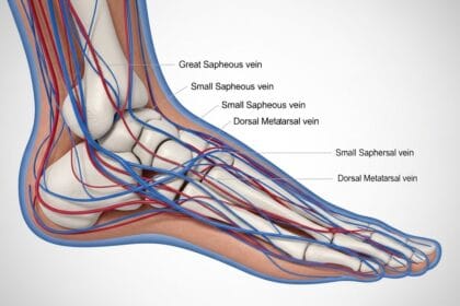 foot and vein health